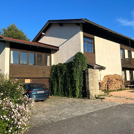 Haus Im Gruenen Διαμέρισμα Saalfelden Εξωτερικό φωτογραφία