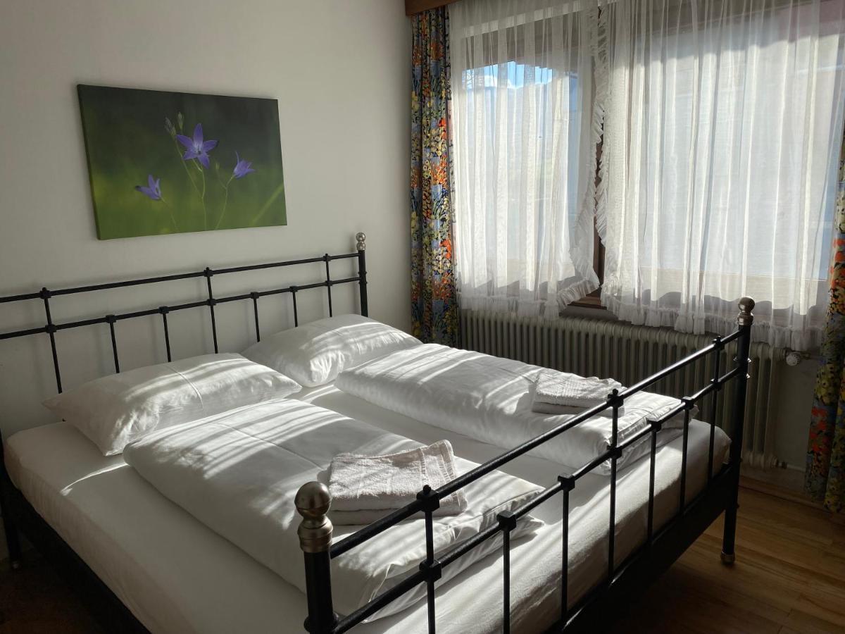 Haus Im Gruenen Διαμέρισμα Saalfelden Εξωτερικό φωτογραφία
